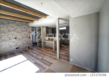 Stylish living of a pet living designer house 125170396