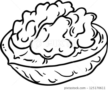 walnut vector isolated walnut vector isolated 125170611