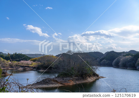 Floating islands seen from the southeast lake shore of Nunome Dam during cherry blossom season② Floating islands seen from the southeast lake shore of Nunome Dam during cherry blossom season② 125170619