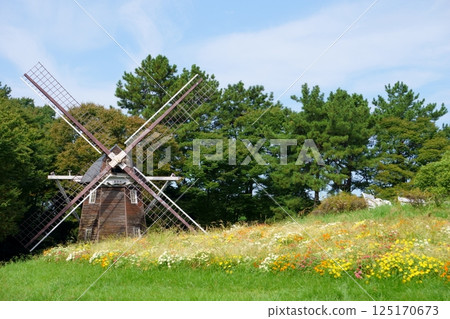 Meijo Park: Dutch windmill and flower bed Meijo Park: Dutch windmill and flower bed 125170673
