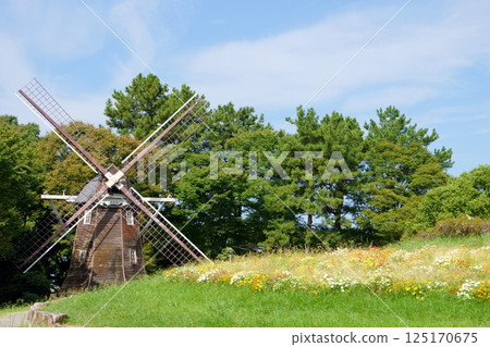Windmill and flower beds at Meijo Park 125170675