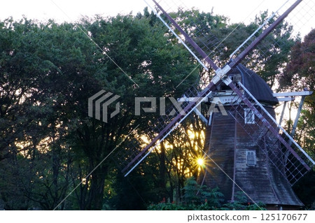 Dutch windmills lit up by the setting sun at Meijo Park Dutch windmills lit up by the setting sun at Meijo Park 125170677