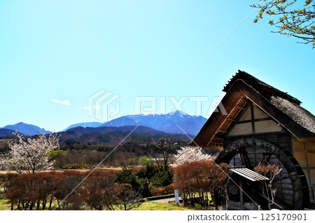 Sakura Watermill 125170901