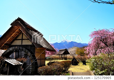 Sakura Watermill Sakura Watermill 125170905