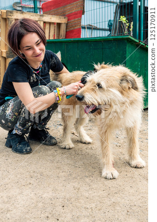 Dog in the shelter. Animal shelter volunteer takes care of dogs. 125170911