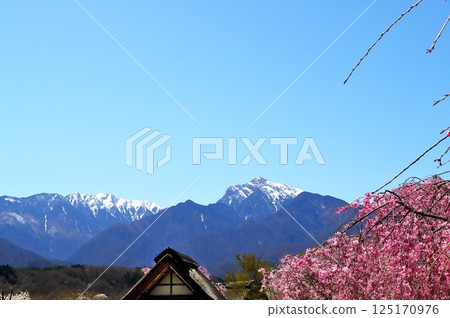 Sakura Watermill 125170976