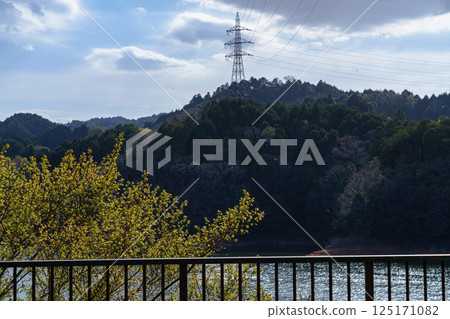 Nunome Dam in cherry blossom season: Fresh greenery and power lines crossing the lake② 125171082