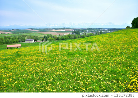 北海道美瑛町的初夏風景,美瑛丘陵,白雪皚皚的十勝山脈 北海道美瑛町的初夏風景,美瑛丘陵,白雪皚皚的十勝山脈 125172395