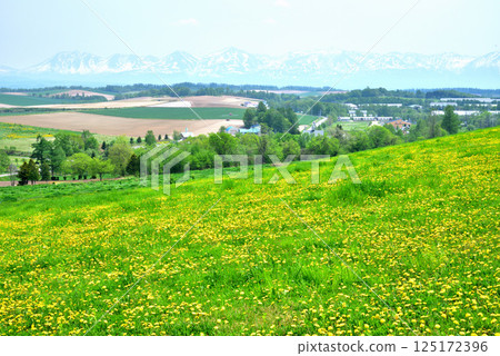 Early summer scenery of Biei town in Hokkaido, Biei hills, snow-covered Tokachi mountain range Early summer scenery of Biei town in Hokkaido, Biei hills, snow-covered Tokachi mountain range 125172396