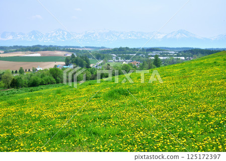 Early summer scenery of Biei town in Hokkaido, Biei hills, snow-covered Tokachi mountain range Early summer scenery of Biei town in Hokkaido, Biei hills, snow-covered Tokachi mountain range 125172397