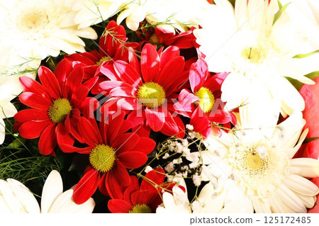 A Stunningly Vibrant Red and White Flower Arrangement That Captivates the Senses 125172485