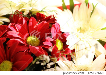 A Beautiful Colorful Floral Arrangement Featuring Stunning Red and White Flowers A Beautiful Colorful Floral Arrangement Featuring Stunning Red and White Flowers 125172660