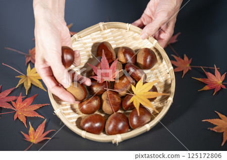 Autumn taste chestnut harvest 125172806