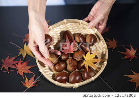 秋味栗子豐收 秋味栗子豐收 125172808