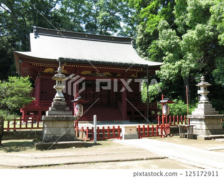 Miyoshino Shrine in Kawagoe City Miyoshino Shrine in Kawagoe City 125172911