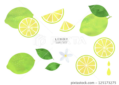 水彩風格綠檸檬插畫素材集 125173275