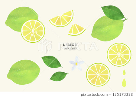 青檸檬插畫素材集（水彩風格向量） 125173358