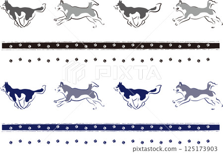 簡單奔跑的哈士奇犬 125173903