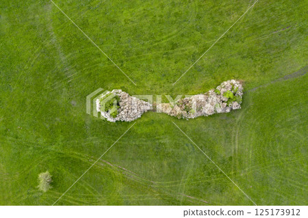 Green meadow and tree blossom, drone aerial view Green meadow and tree blossom, drone aerial view 125173912