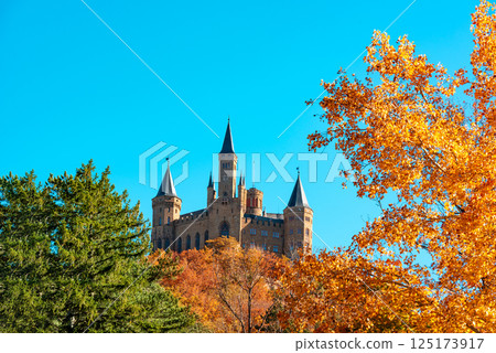 Hohenzollern castle in Black Forest on a sunny day of autumn 125173917