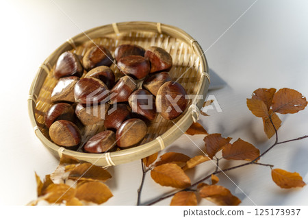 秋天的味道生栗子 秋天的味道生栗子 125173937