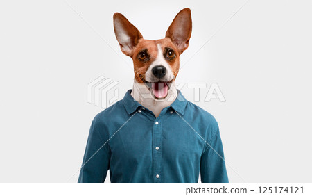 A dog with a white and brown coat is wearing a blue button-down shirt and smiling against a white backdrop. The dog has large ears and a happy expression. A dog with a white and brown coat is wearing a blue button-down shirt and smiling against a white backdrop. The dog has large ears and a happy expression. 125174121