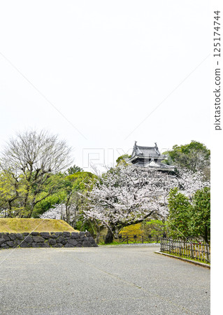 西尾市歷史公園（四月初） 125174744