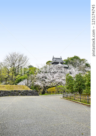 西尾市歷史公園（四月初） 125174745