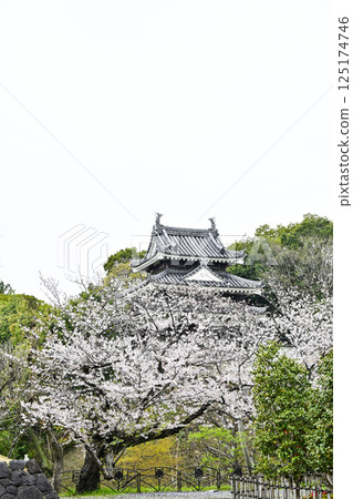 西尾市歷史公園(4月上旬) 本丸牛虎櫓 西尾市歷史公園(4月上旬) 本丸牛虎櫓 125174746