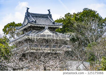 西尾市歷史公園(4月上旬) 本丸牛虎櫓 西尾市歷史公園(4月上旬) 本丸牛虎櫓 125175066