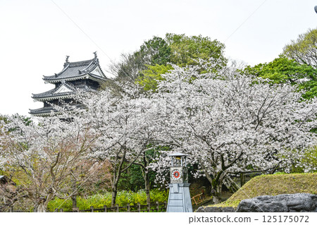 西尾市歷史公園（四月初） 125175072