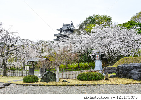 西尾市歷史公園（四月初） 125175073