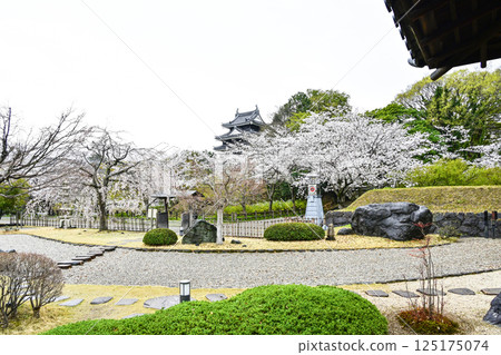 西尾市歷史公園(四月初) 西尾市歷史公園(四月初) 125175074