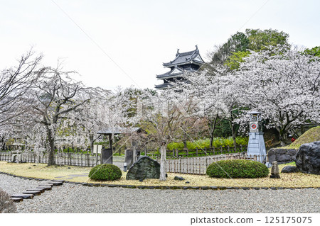 西尾市歷史公園（四月初） 125175075
