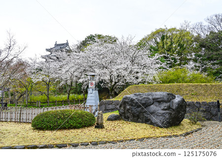 西尾市歷史公園(四月初) 西尾市歷史公園(四月初) 125175076