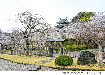 西尾市歷史公園（四月初） 125175196