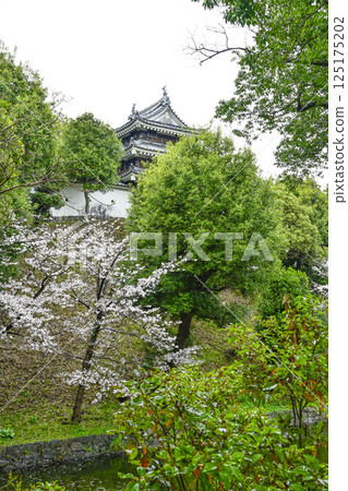 Nishio City Historical Park (early April) Honmaru Ushitora Yagura 125175202