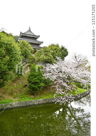 Nishio City Historical Park (early April) Honmaru Ushitora Yagura 125175205