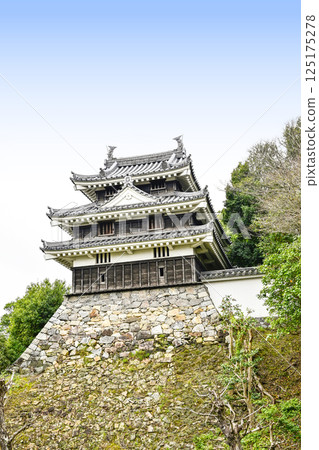 西尾市歷史公園(4月上旬) 本丸牛虎櫓 西尾市歷史公園(4月上旬) 本丸牛虎櫓 125175278
