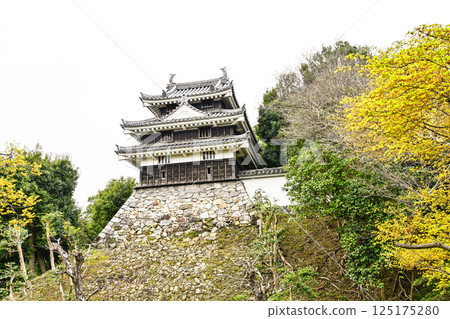 西尾市歷史公園(4月上旬) 本丸牛虎櫓 西尾市歷史公園(4月上旬) 本丸牛虎櫓 125175280