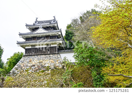 西尾市歷史公園(4月上旬) 本丸牛虎櫓 西尾市歷史公園(4月上旬) 本丸牛虎櫓 125175281