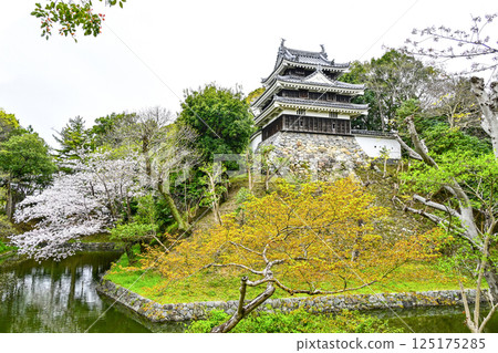 Nishio City Historical Park (early April) Honmaru Ushitora Yagura 125175285