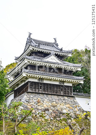 Nishio City Historical Park (early April) Honmaru Ushitora Yagura Nishio City Historical Park (early April) Honmaru Ushitora Yagura 125175431