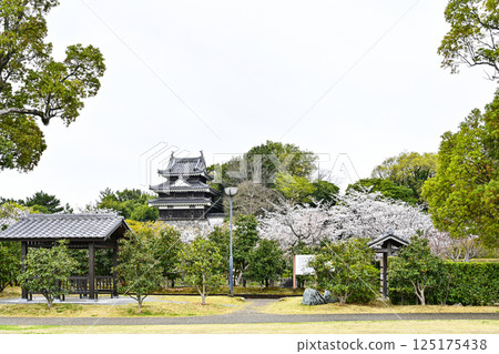 西尾市歷史公園（四月初） 125175438