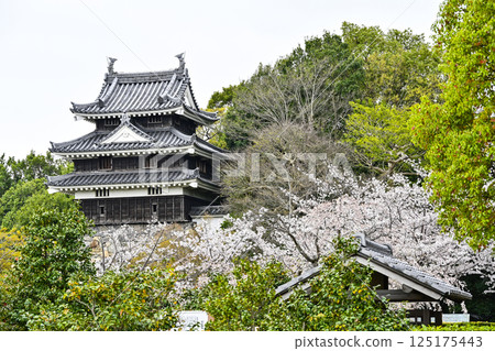 西尾市歷史公園（4月上旬） 本丸牛虎櫓 125175443