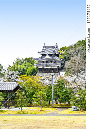 西尾市歷史公園（4月上旬） 本丸牛虎櫓 125175452