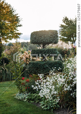 Tiered topiary tree surrounded by wildflowers and ornamental plants in a lush garden. Artistic landscaping, biodiversity in gardens, topiary design, eco-conscious horticulture Tiered topiary tree surrounded by wildflowers and ornamental plants in a lush garden. Artistic landscaping, biodiversity in gardens, topiary design, eco-conscious horticulture 125175607