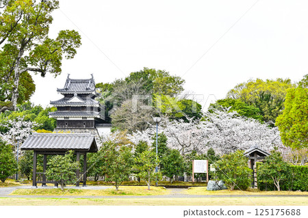 Nishio City Historical Park (early April) Honmaru Ushitora Yagura 125175688