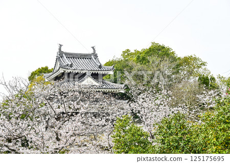 西尾市歷史公園（4月上旬） 本丸牛虎櫓 125175695