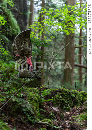 Jizo standing in the forest Jizo standing in the forest 125175708